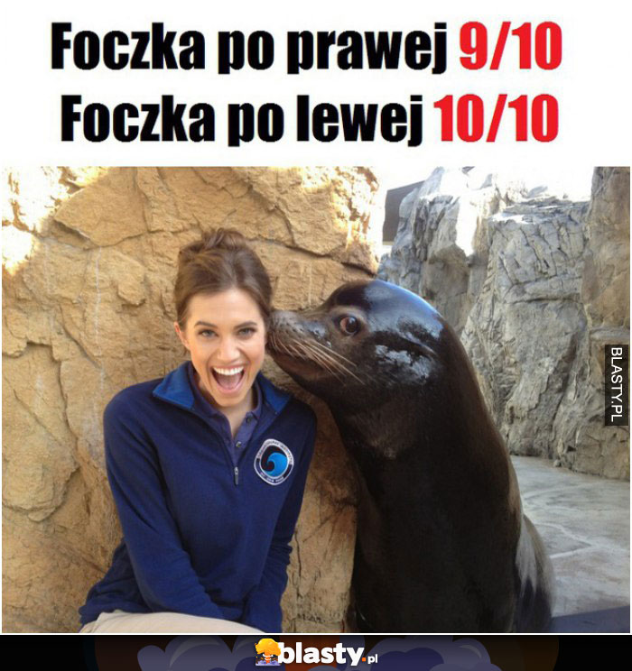 POczka po lewej