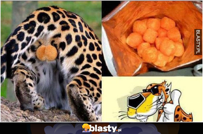 Skąd się biorą cheetosy