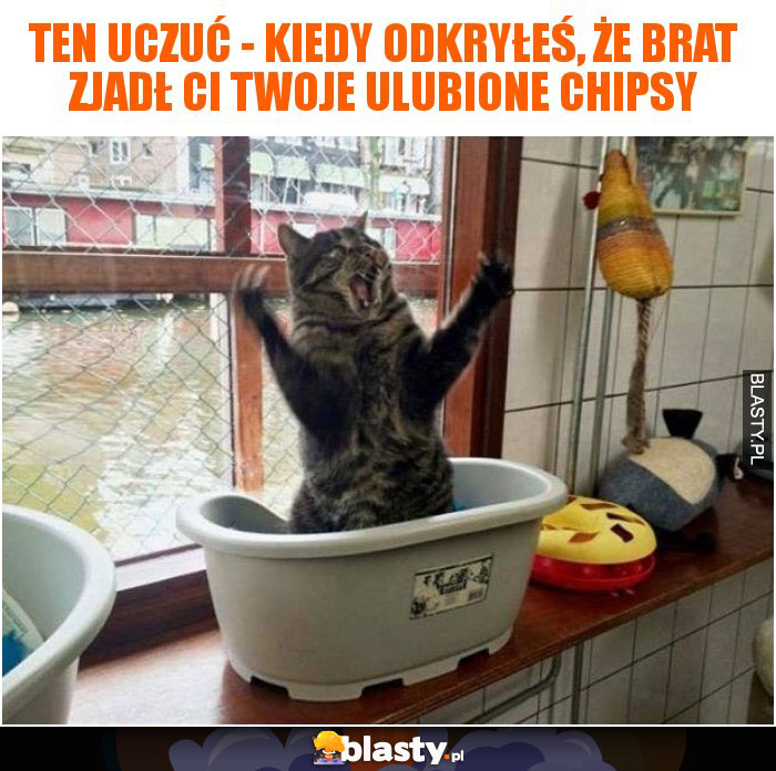 Ten uczuć kiedy odkryłeś, że brat zjadł Ci Twoje ulubione chipsy