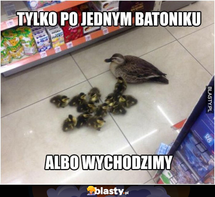 Tylko po jednym batoniku