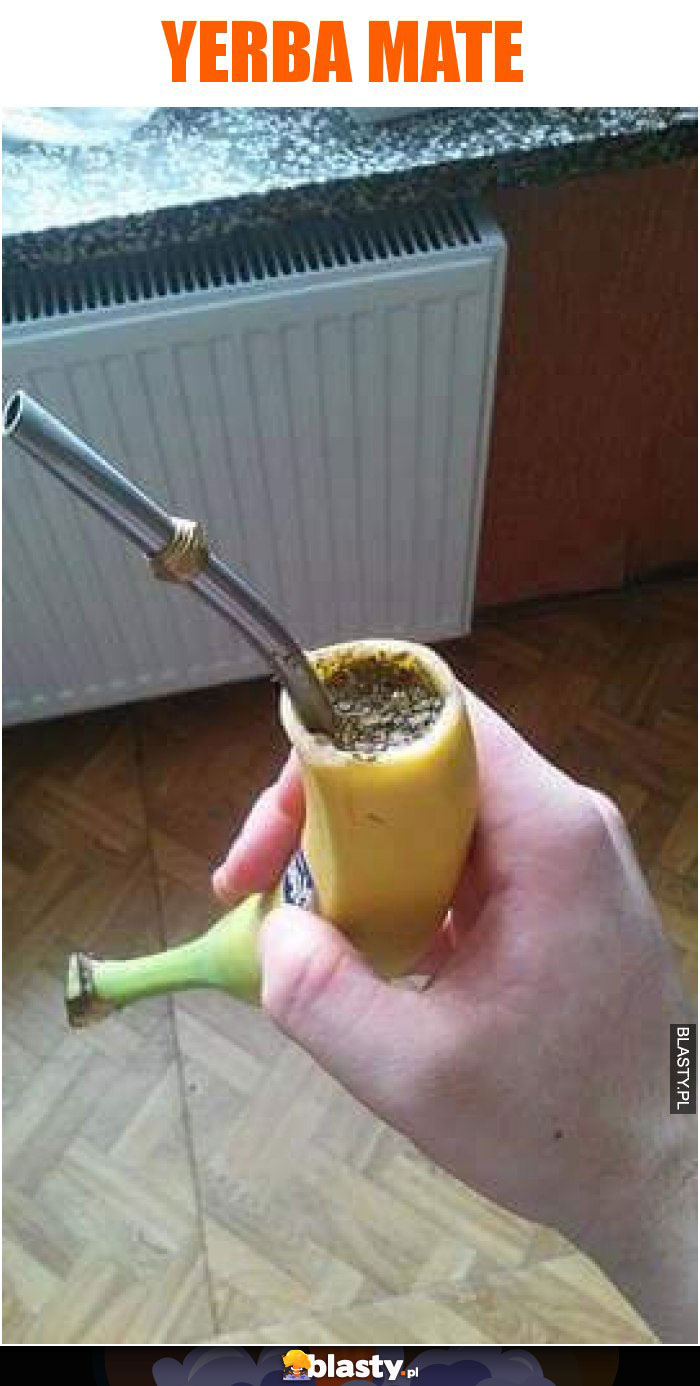 yerba mate