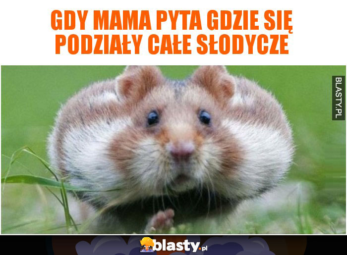 Gdy mama pyta gdzie się podziały całe słodycze