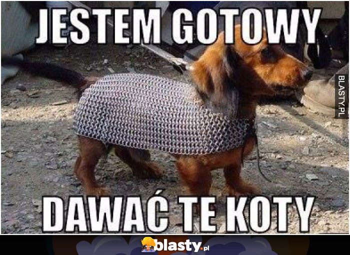 jestem gotowy