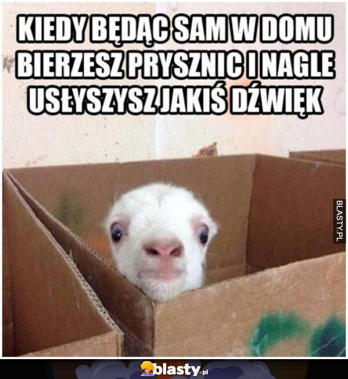 kiedy bedac sam w domu