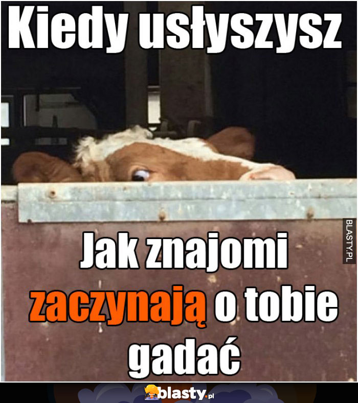 Kiedy usłyszysz jak znajomi zaczynają o tobie gadać