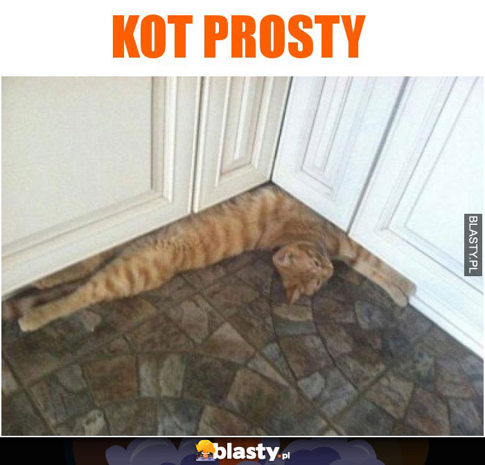 Kot prosty