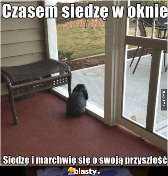 moja przyszłość