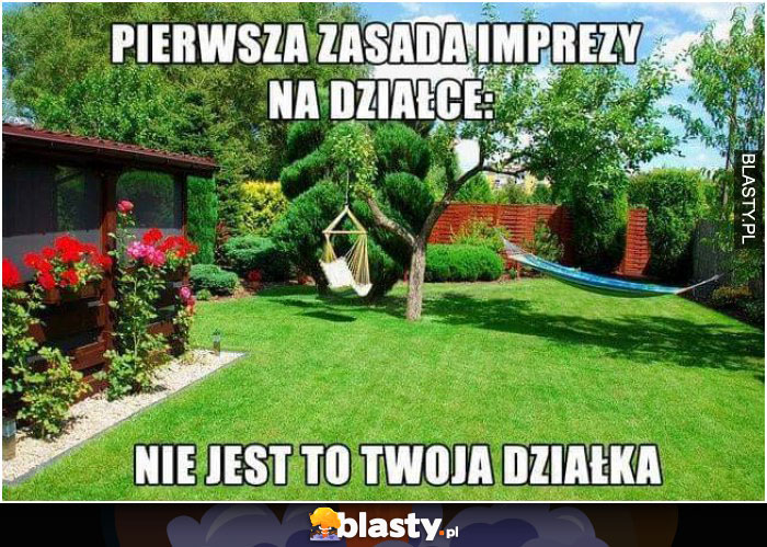 pierwsza zasada imprezy na działce