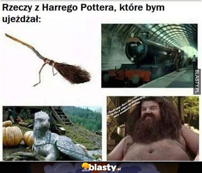 Rzeczy z Harrego Pottera, które bym ujeżdżał