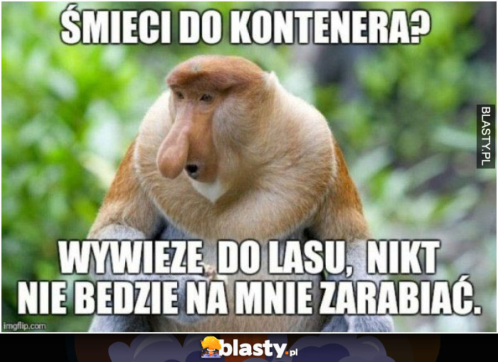 smieci do lasu