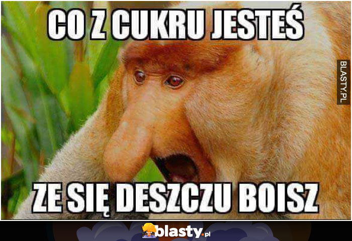 Z cukru jesteś, że deszczu się boisz?