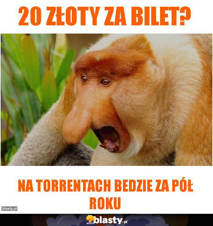 20 złoty za bilet?