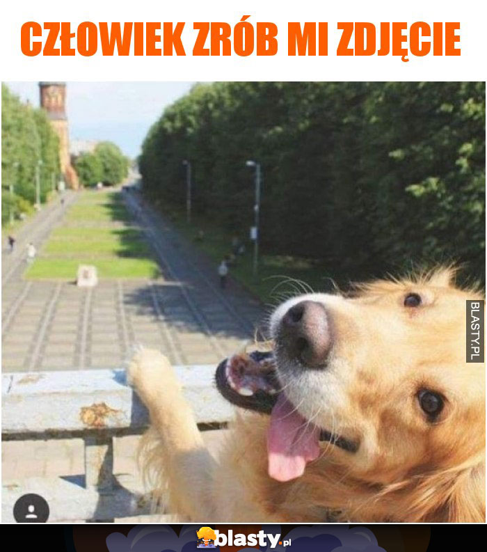 Człowiek zrób mi zdjęcie