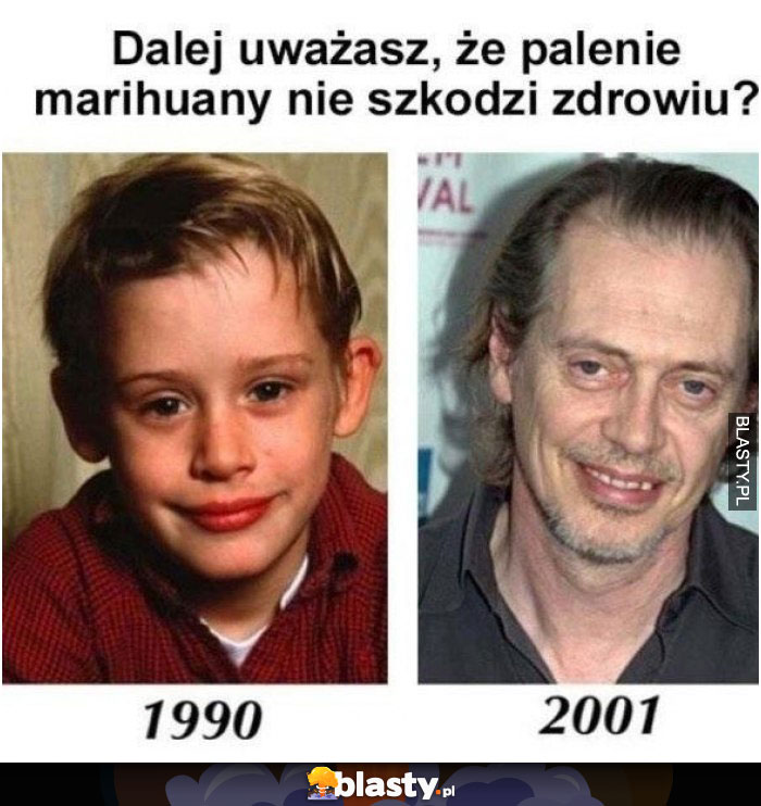 Dalej uważasz, że palenie marihuany nie szkodzi zdrowiu ?