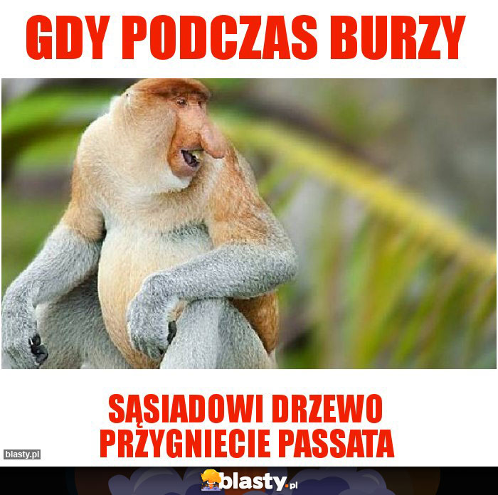 Gdy podczas burzy