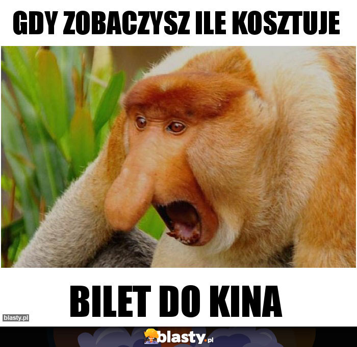 Gdy zobaczysz ile kosztuje