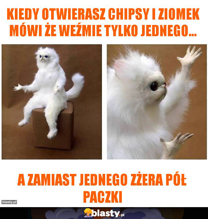 Kiedy otwierasz chipsy i ziomek mówi że weźmie tylko jednego...