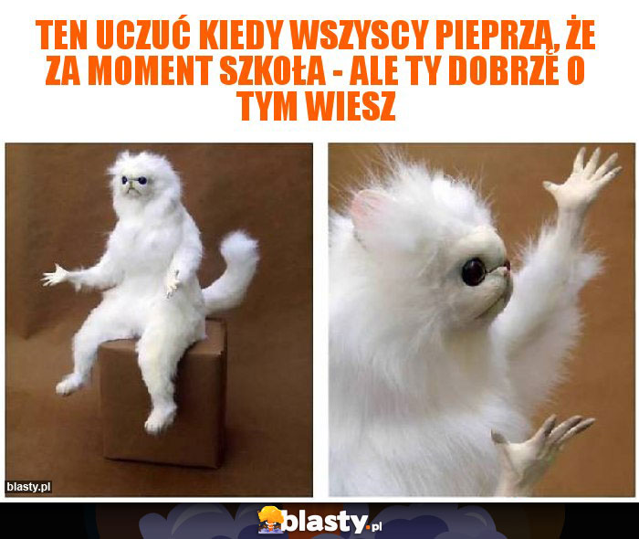 Ten uczuć kiedy wszyscy pieprzą, że za moment szkoła - ale Ty dobrze o tym wiesz