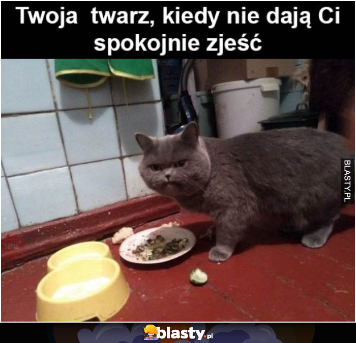 Twoja twarz, kiedy nie dają ci spokojnie zjeść