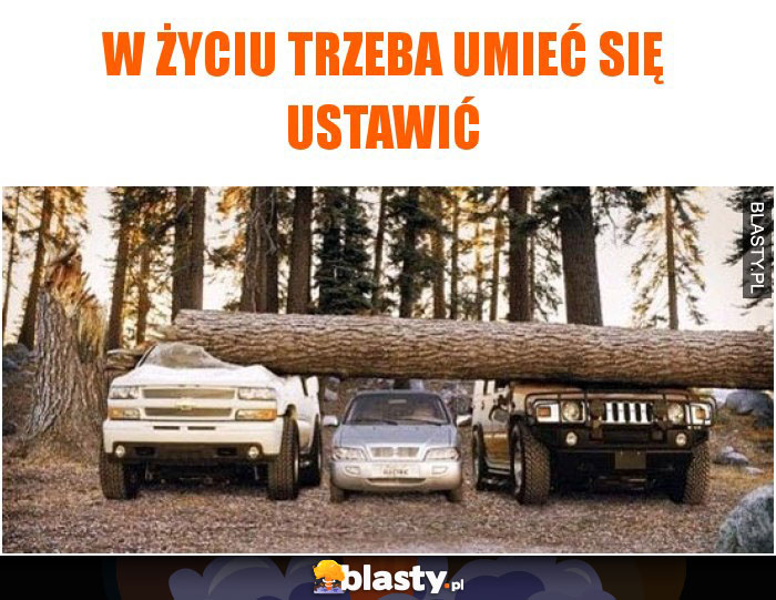 W życiu trzeba umieć się ustawić