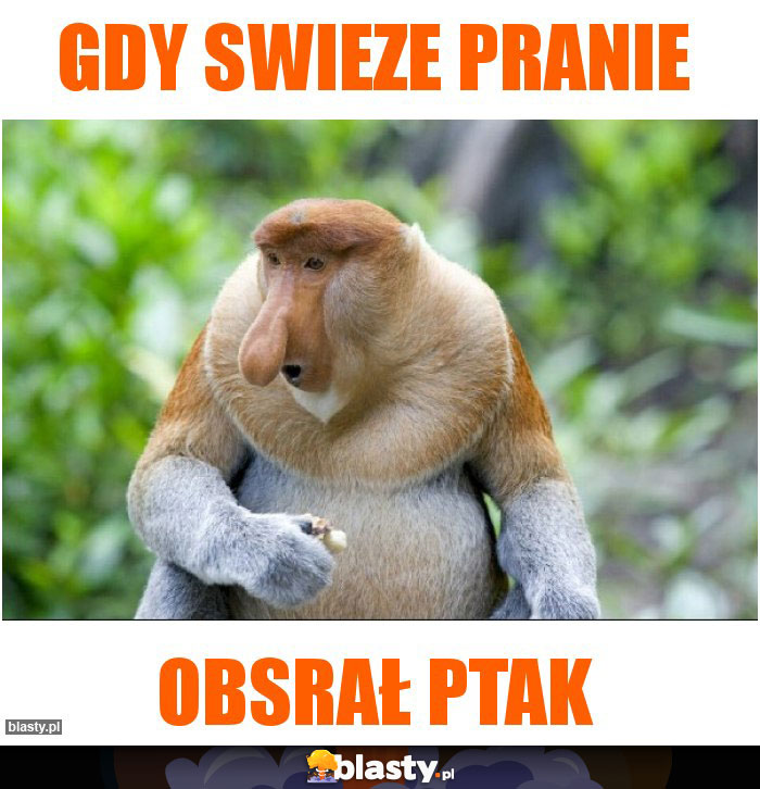 Gdy swieze pranie