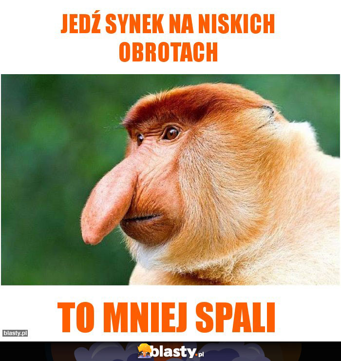 JEDŹ SYNEK NA NISKICH OBROTACH