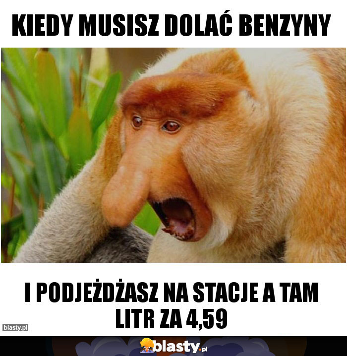 Kiedy musisz dolać benzyny