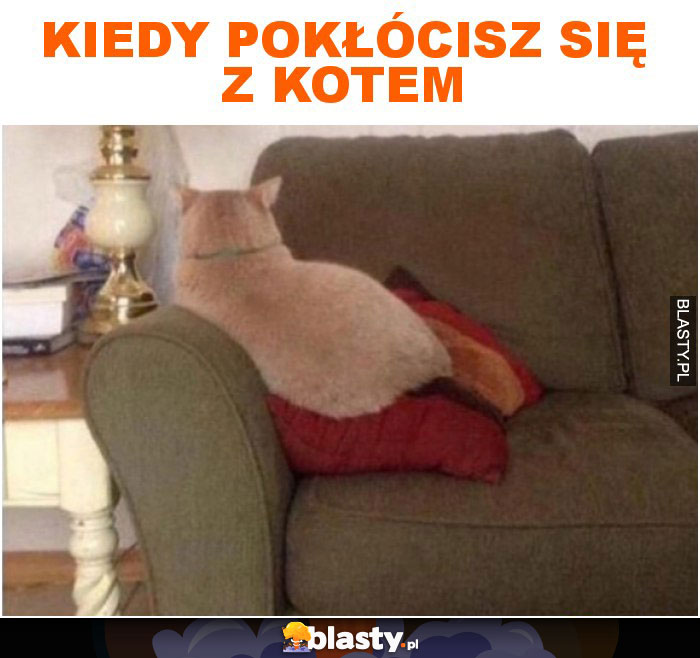 Kiedy pokłócisz się z kotem