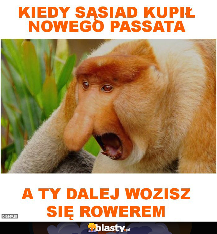 Kiedy sąsiad kupił nowego Passata