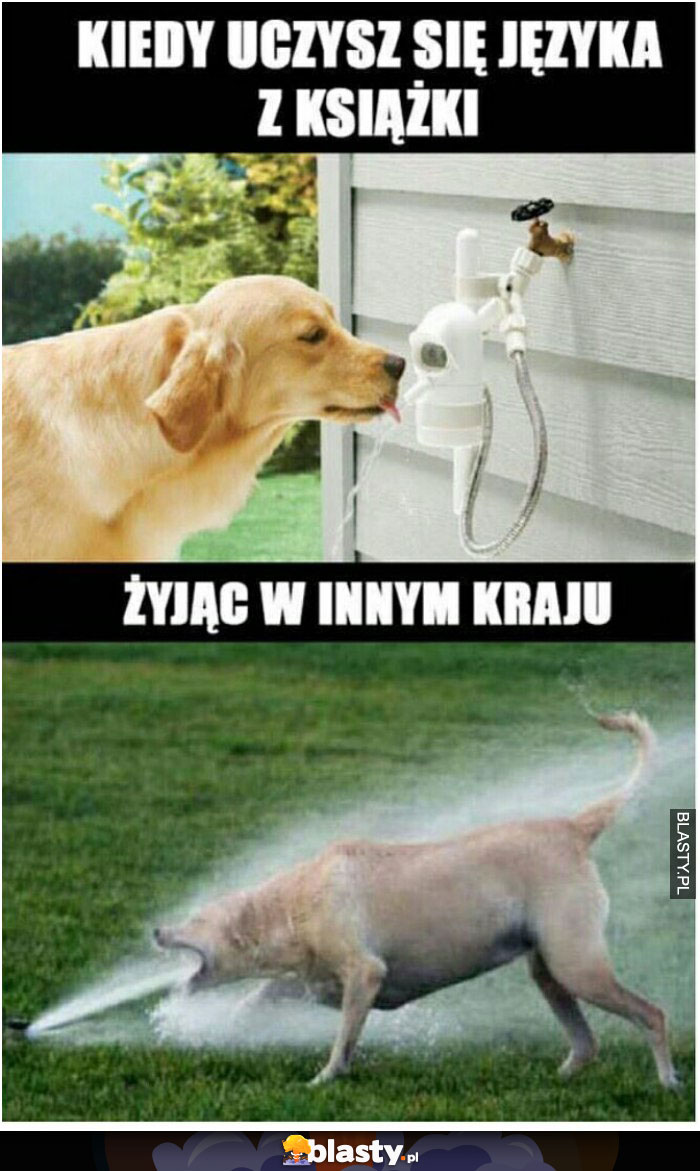 Kiedy uczysz się języka z książki vs żyjąc w innym kraju