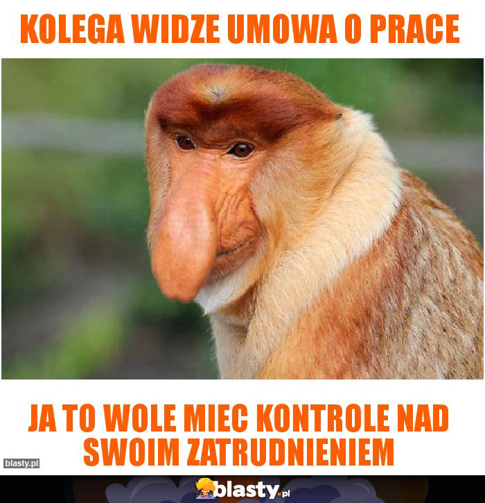 Kolega widze umowa o prace