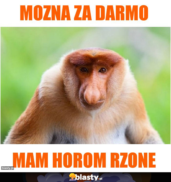 MOZNA ZA DARMO