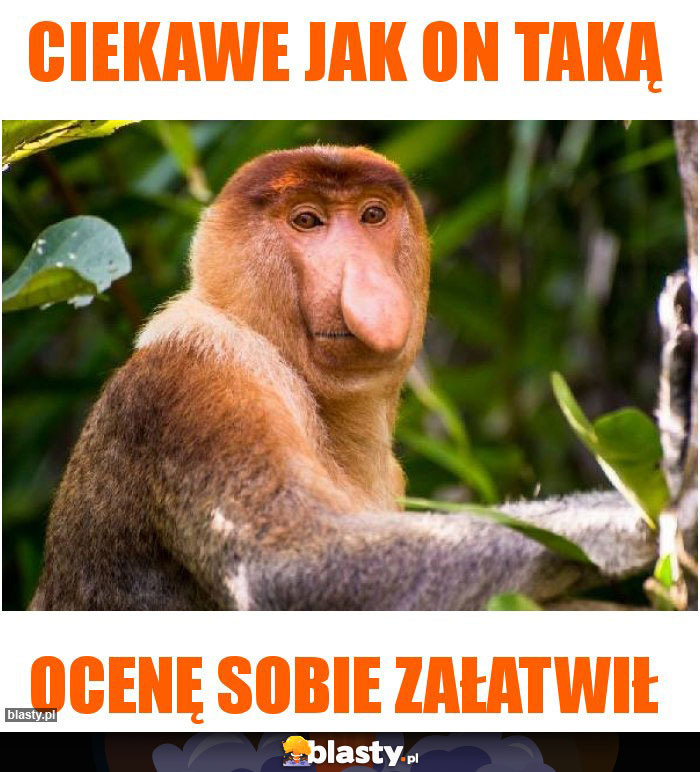 Ciekawe jak on taką