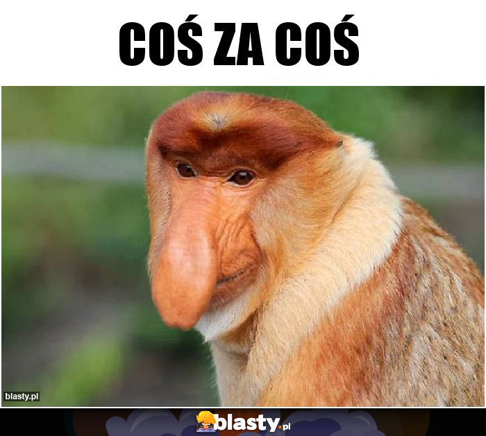 Coś za coś