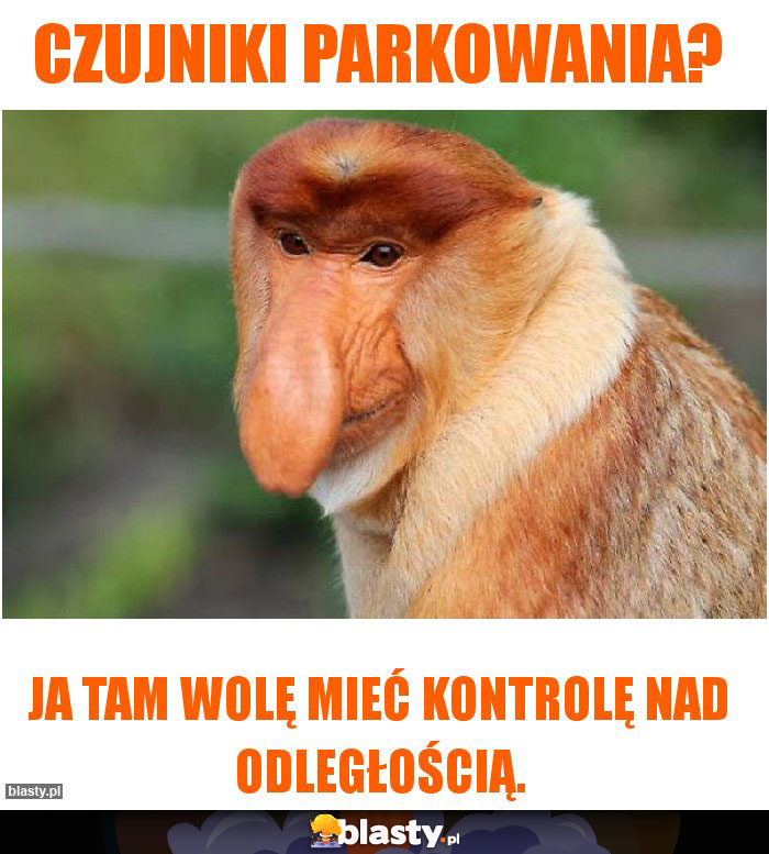 Czujniki parkowania?