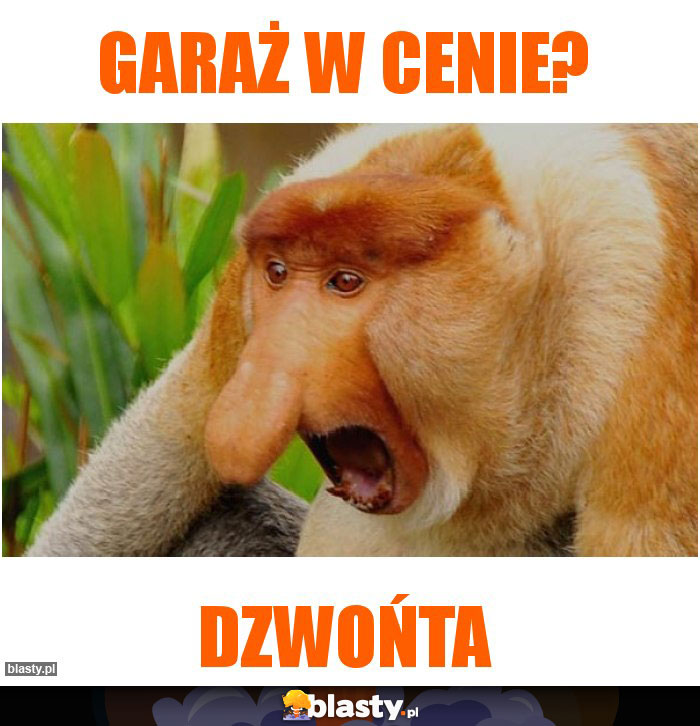 Garaż w cenie?