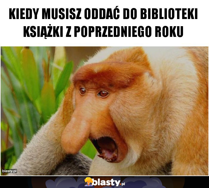 Kiedy musisz oddać do biblioteki książki z poprzedniego roku