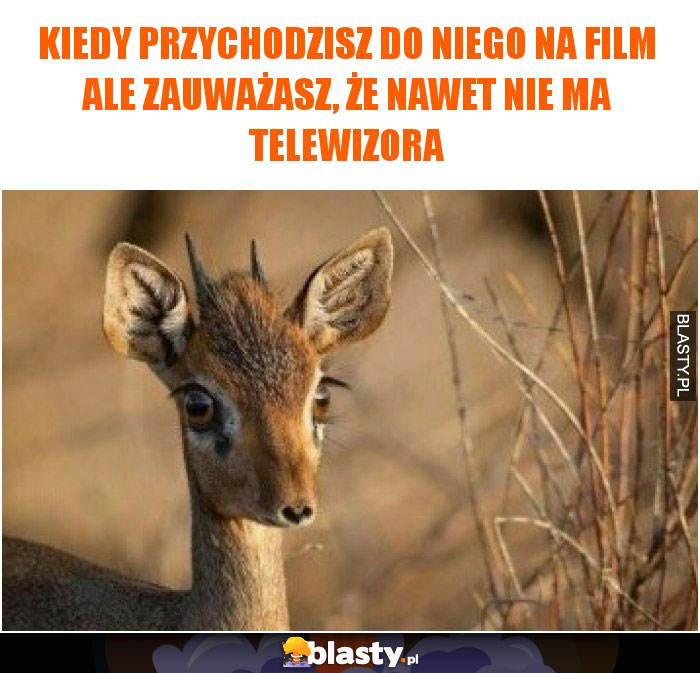 Kiedy przychodzisz do niego na film ale zauważasz, że nawet nie ma telewizora