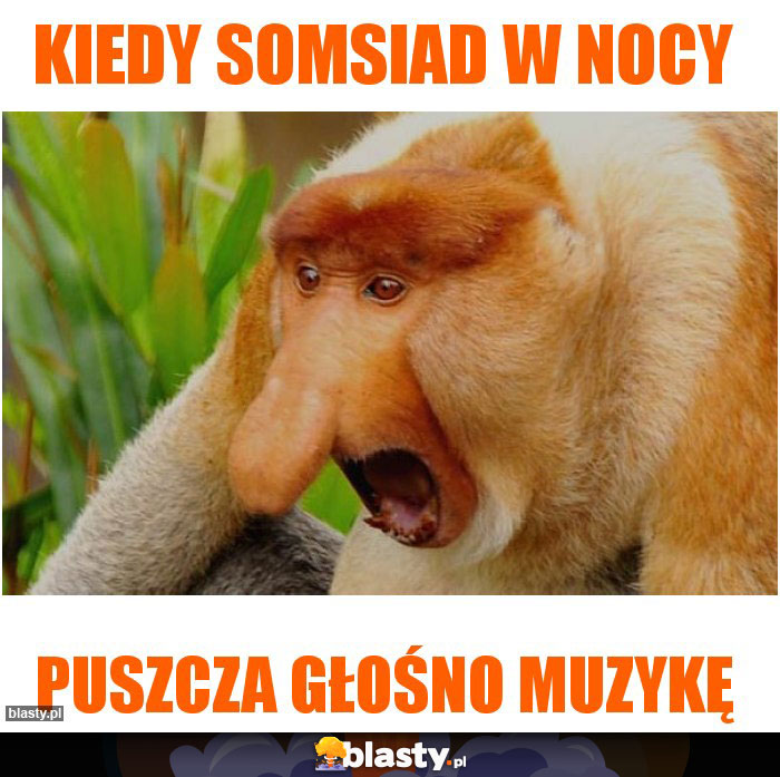 Kiedy somsiad w nocy