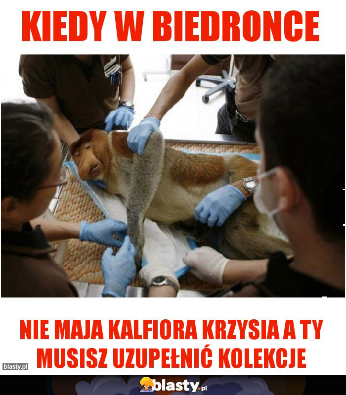 Kiedy w biedronce