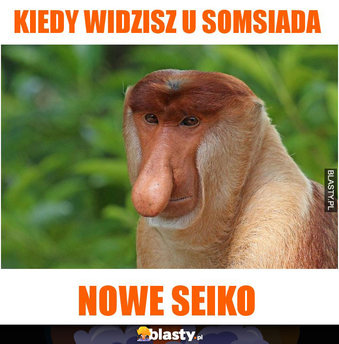 Kiedy widzisz u somsiada