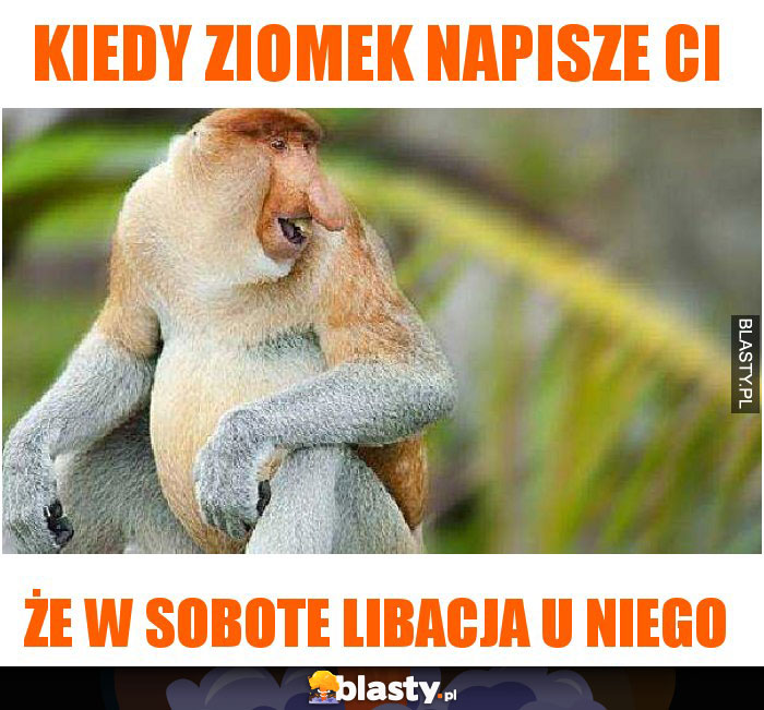 Kiedy ziomek napisze ci