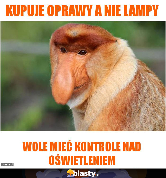 KUPUJE OPRAWY A NIE LAMPY