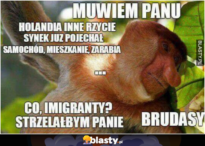 Mówię Panu