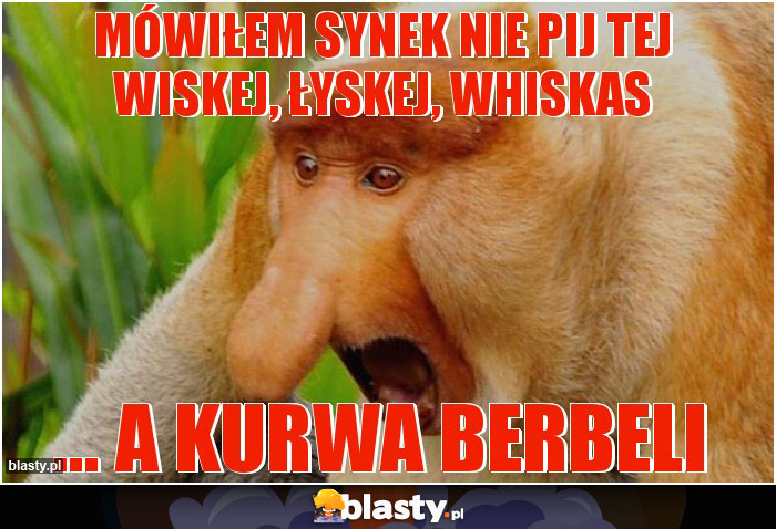 Mówiłem synek nie pij tej WISKEJ, łyskej, whiskas