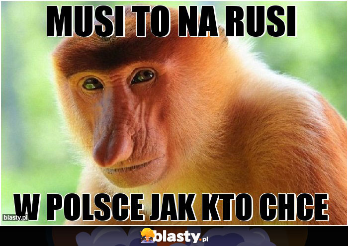 Musi to na rusi