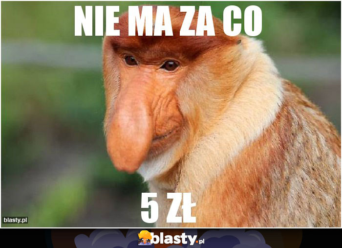 Nie ma za co