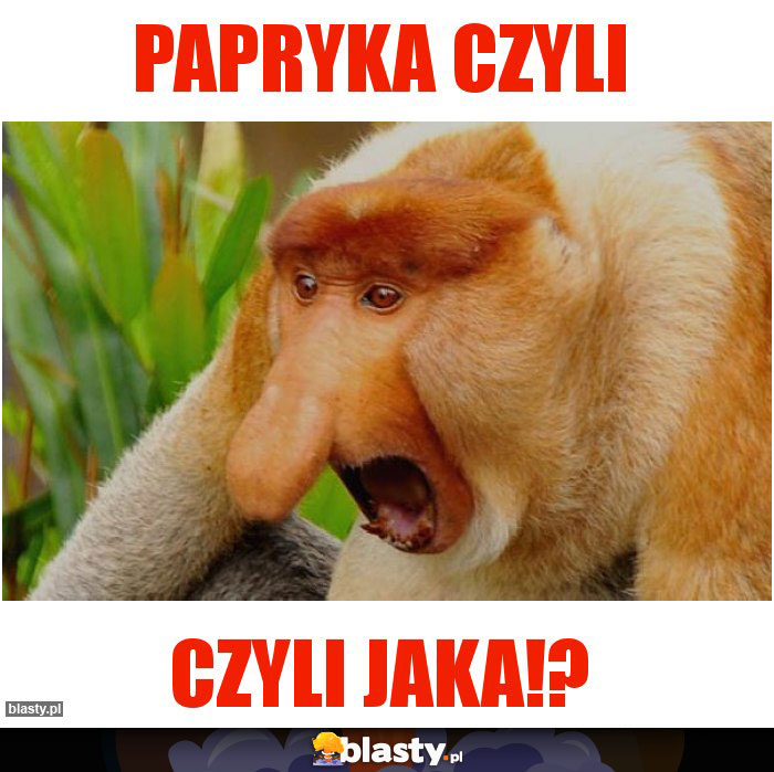 Papryka czyli