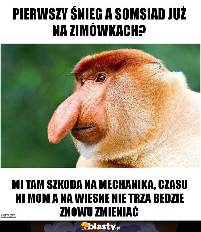 pierwszy śnieg a somsiad już na zimówkach?