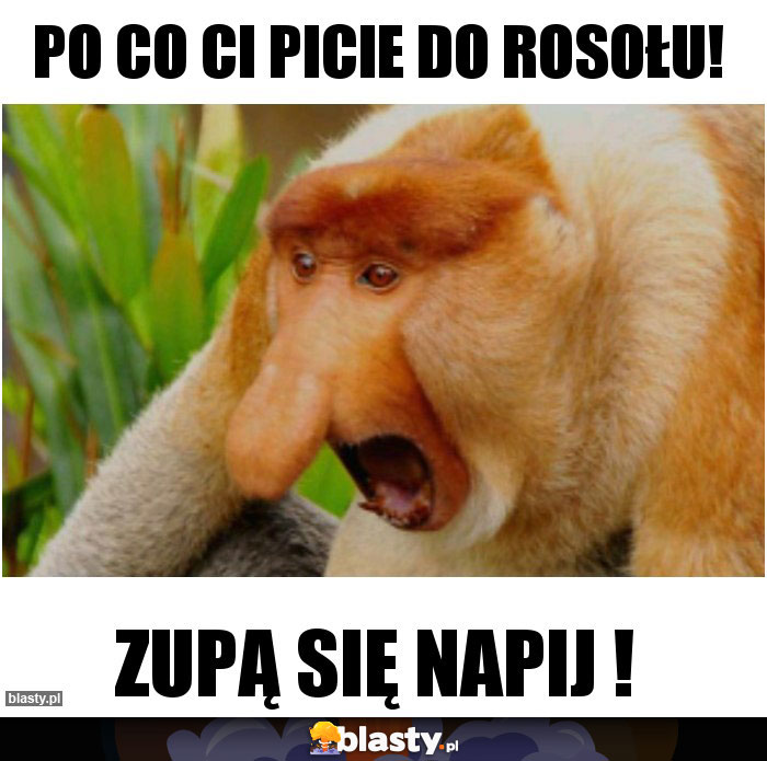 Po co Ci picie do rosołu!